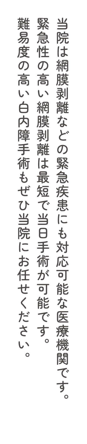 当院は網膜剥離などの緊急疾患にも対応可能な医療機関です。緊急性の高い網膜剥離は最短で当日手術が可能です。難易度の高い白内障手術もぜひ当院にお任せください。